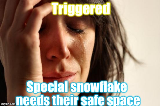 First World Problems | Triggered; Special snowflake needs their safe space | image tagged in memes,first world problems | made w/ Imgflip meme maker