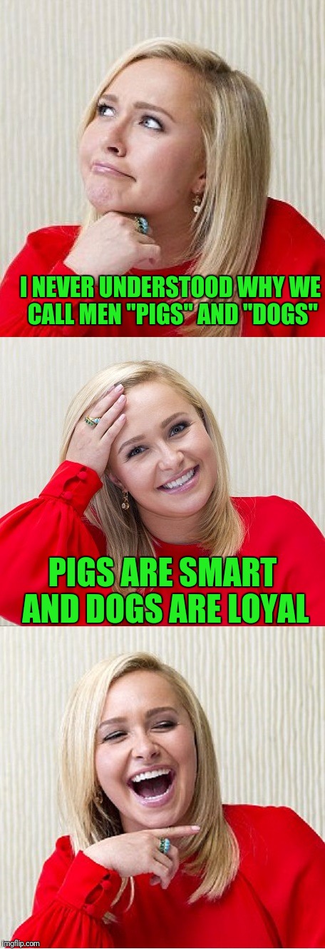 Bad Pun Hayden 2 | I NEVER UNDERSTOOD WHY WE CALL MEN "PIGS" AND "DOGS"; PIGS ARE SMART AND DOGS ARE LOYAL | image tagged in bad pun hayden 2 | made w/ Imgflip meme maker