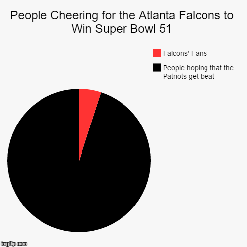Super Bowl 51 Pie Chart | image tagged in funny,pie charts,nfl,super bowl,memes,football | made w/ Imgflip chart maker