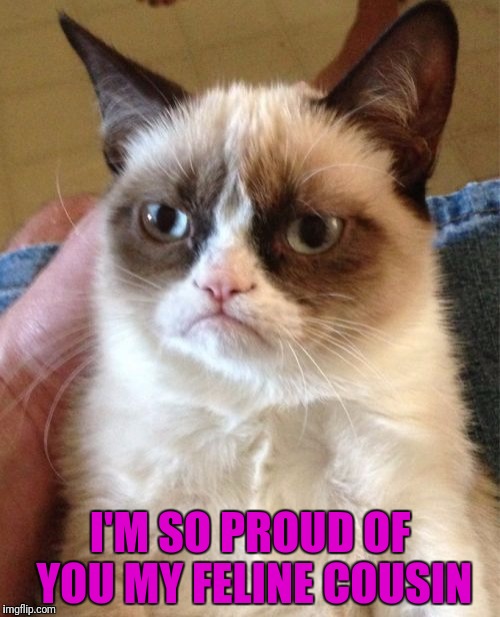 Grumpy Cat Meme | I'M SO PROUD OF YOU MY FELINE COUSIN | image tagged in memes,grumpy cat | made w/ Imgflip meme maker