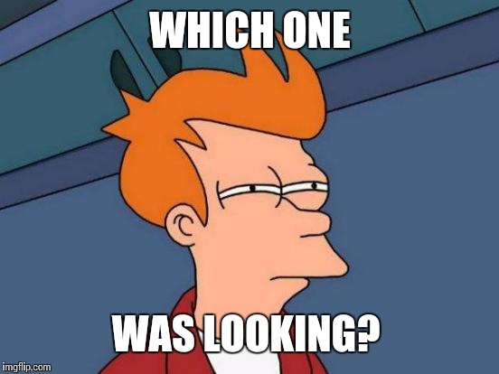 Futurama Fry Meme | WHICH ONE WAS LOOKING? | image tagged in memes,futurama fry | made w/ Imgflip meme maker