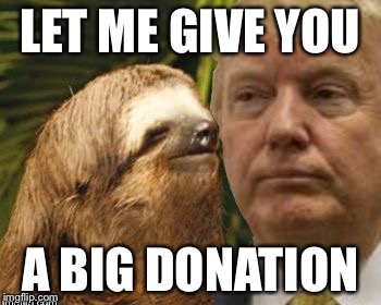 Political advice sloth | LET ME GIVE YOU A BIG DONATION | image tagged in political advice sloth | made w/ Imgflip meme maker