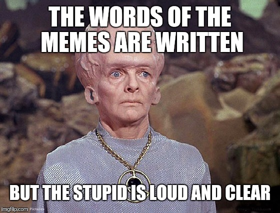 THE WORDS OF THE MEMES ARE WRITTEN BUT THE STUPID IS LOUD AND CLEAR | made w/ Imgflip meme maker