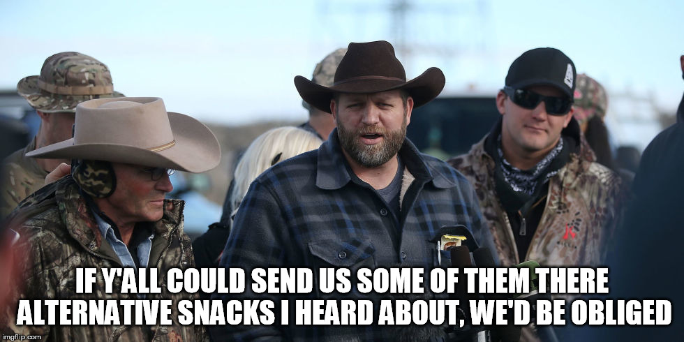 alternative snacks | IF Y'ALL COULD SEND US SOME OF THEM THERE ALTERNATIVE SNACKS I HEARD ABOUT, WE'D BE OBLIGED | image tagged in alternative facts,bundy ranch,kellyanne conway alternative facts | made w/ Imgflip meme maker