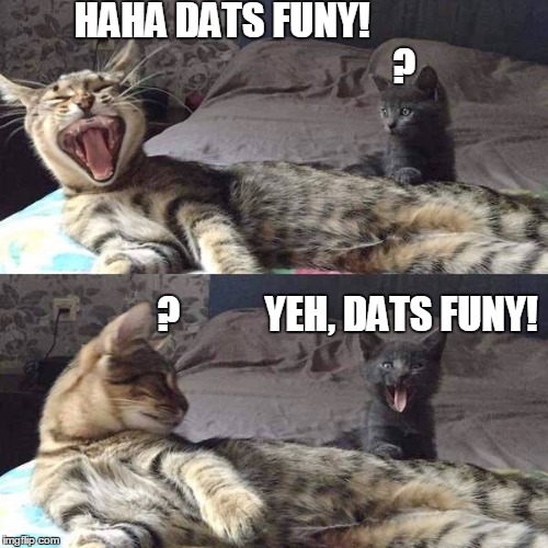 LOL cats | HAHA DATS FUNY!
                                              ? ?           YEH, DATS FUNY! | image tagged in funny cats,lolcats | made w/ Imgflip meme maker