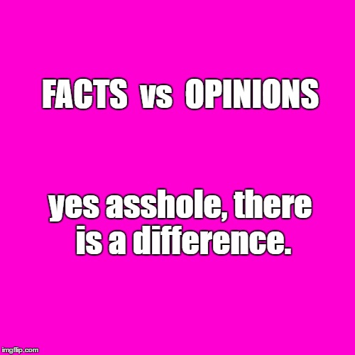 Blank Hot Pink Background |  FACTS  vs  OPINIONS; yes asshole, there is a difference. | image tagged in facts,alternate,trump,opinions | made w/ Imgflip meme maker