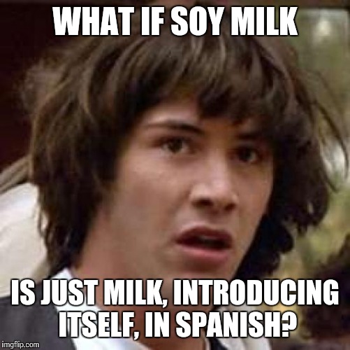 Hola Señor, Soy Leche | WHAT IF SOY MILK; IS JUST MILK, INTRODUCING ITSELF, IN SPANISH? | image tagged in memes,conspiracy keanu | made w/ Imgflip meme maker
