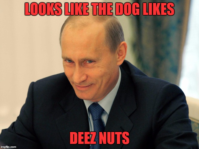 LOOKS LIKE THE DOG LIKES DEEZ NUTS | made w/ Imgflip meme maker