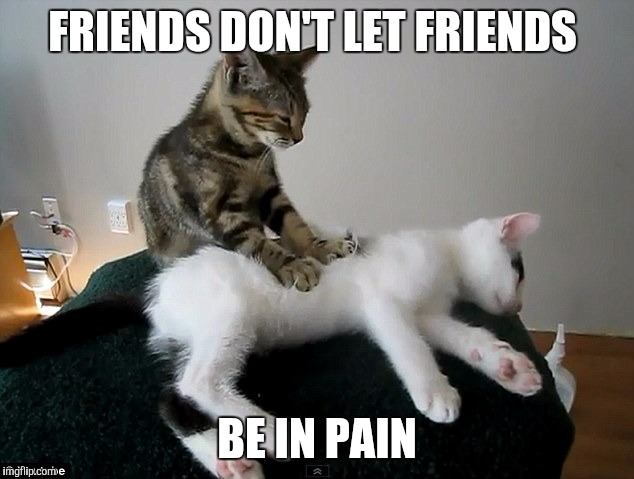 cat massage | FRIENDS DON'T LET FRIENDS; BE IN PAIN | image tagged in cat massage | made w/ Imgflip meme maker