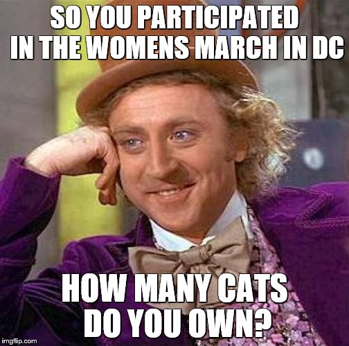 Creepy Condescending Wonka |  SO YOU PARTICIPATED IN THE WOMENS MARCH IN DC; HOW MANY CATS DO YOU OWN? | image tagged in memes,creepy condescending wonka | made w/ Imgflip meme maker