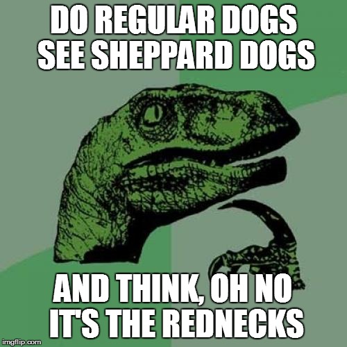 Philosoraptor Meme | DO REGULAR DOGS SEE SHEPPARD DOGS AND THINK, OH NO IT'S THE REDNECKS | image tagged in memes,philosoraptor | made w/ Imgflip meme maker