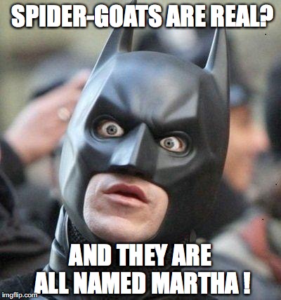 Shocked Batman | SPIDER-GOATS ARE REAL? AND THEY ARE ALL NAMED MARTHA ! | image tagged in shocked batman | made w/ Imgflip meme maker