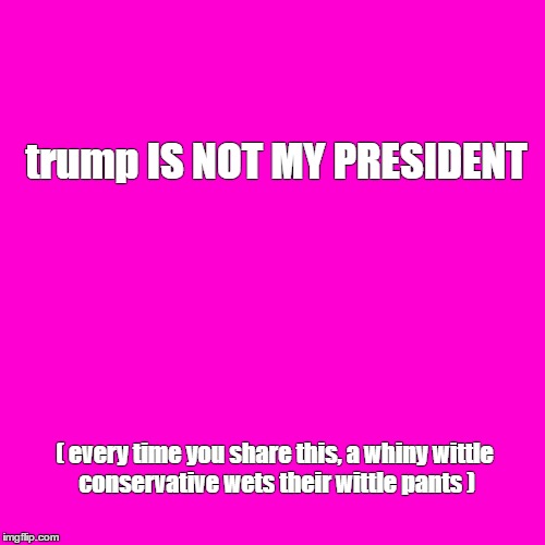 Blank Hot Pink Background | trump IS NOT MY PRESIDENT; ( every time you share this, a whiny wittle conservative wets their wittle pants ) | image tagged in trump,conservative,not my president | made w/ Imgflip meme maker
