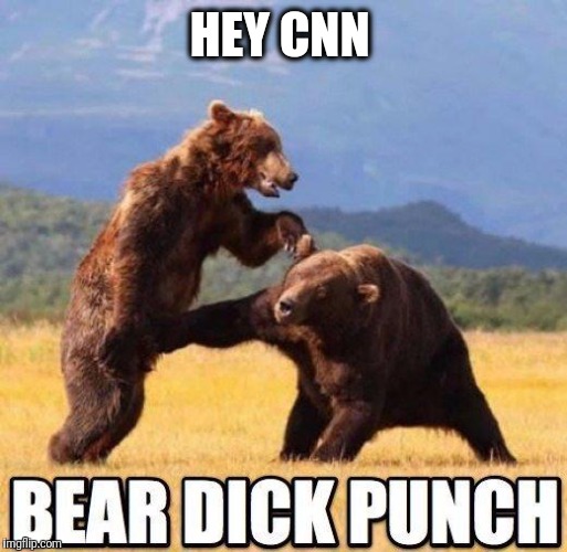 beardickpunsh neos | HEY CNN | image tagged in beardickpunsh neos | made w/ Imgflip meme maker