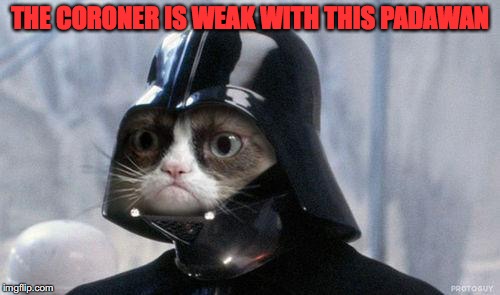 Grumpy Cat Star Wars | THE CORONER IS WEAK WITH THIS PADAWAN | image tagged in memes,grumpy cat star wars,grumpy cat | made w/ Imgflip meme maker
