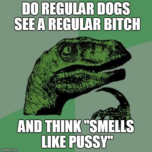 Philosoraptor Meme | DO REGULAR DOGS SEE A REGULAR B**CH AND THINK "SMELLS LIKE PUSSY" | image tagged in memes,philosoraptor | made w/ Imgflip meme maker