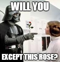 Darth Varder is "The Bachelor" | WILL YOU; EXCEPT THIS ROSE? | image tagged in darth vader leia,bachelor,rose | made w/ Imgflip meme maker