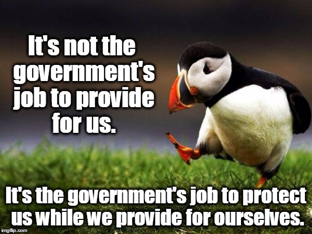 Unpopular Opinion Puffin | It's not the government's job to provide for us. It's the government's job to protect us while we provide for ourselves. | image tagged in memes,unpopular opinion puffin,socialism,health care,free college,liberals | made w/ Imgflip meme maker