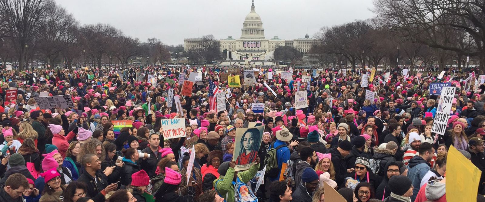 High Quality Women's march Blank Meme Template