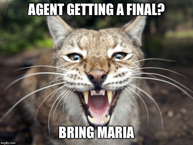AGENT GETTING A FINAL? BRING MARIA | image tagged in lynx | made w/ Imgflip meme maker