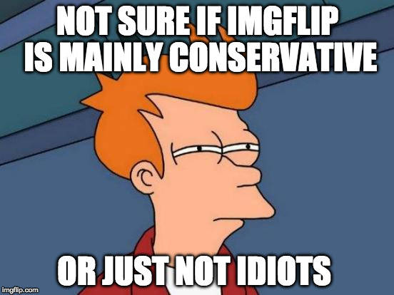 Seriously, this is the only corner of the Internet who will openly bash liberal brainwashing. | NOT SURE IF IMGFLIP IS MAINLY CONSERVATIVE; OR JUST NOT IDIOTS | image tagged in memes,futurama fry,conservative,liberals,bacon,imgflip | made w/ Imgflip meme maker