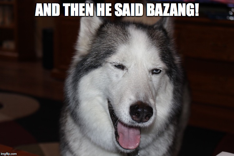 Bazang | AND THEN HE SAID BAZANG! | image tagged in sadie lady dog dog,joke,dog,funny,funny animal | made w/ Imgflip meme maker