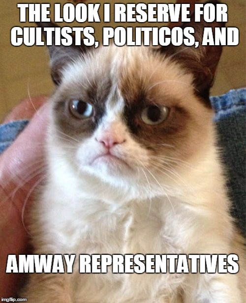 Grumpy Cat Meme | THE LOOK I RESERVE FOR CULTISTS, POLITICOS, AND AMWAY REPRESENTATIVES | image tagged in memes,grumpy cat | made w/ Imgflip meme maker