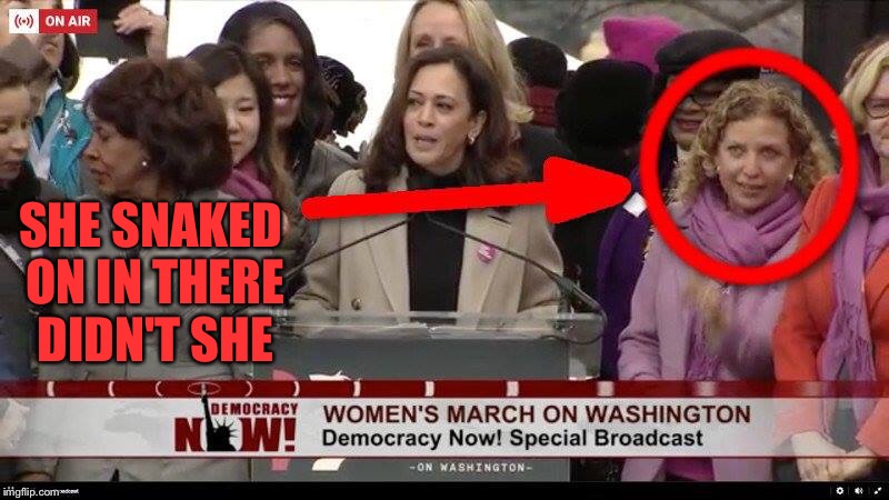 Slitherin.... | SHE SNAKED ON IN THERE DIDN'T SHE | image tagged in debbie wasserman schultz,womens march,washington dc,trump inauguration,abortion | made w/ Imgflip meme maker