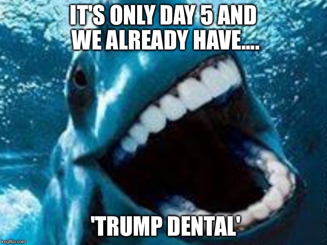 IT'S ONLY DAY 5 AND WE ALREADY HAVE.... 'TRUMP DENTAL' | image tagged in shaahky | made w/ Imgflip meme maker