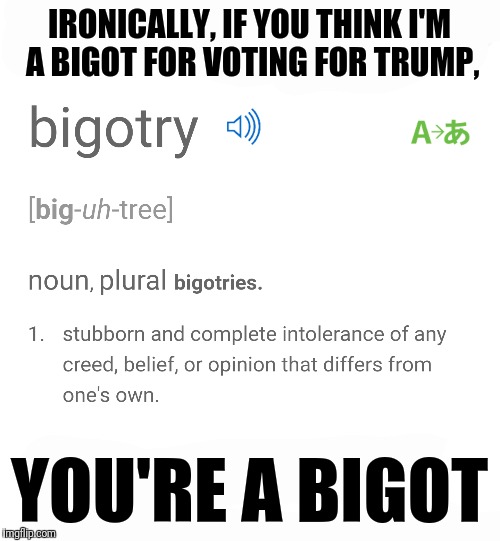 Technically speaking | IRONICALLY, IF YOU THINK I'M A BIGOT FOR VOTING FOR TRUMP, YOU'RE A BIGOT | image tagged in trump | made w/ Imgflip meme maker