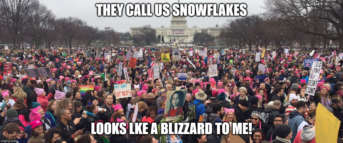 THEY CALL US SNOWFLAKES; LOOKS LKE A BLIZZARD TO ME! | image tagged in gty-womens-march-washington | made w/ Imgflip meme maker