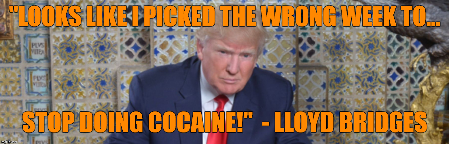Looks like I picked the wrong week to stop doing cocaine! | "LOOKS LIKE I PICKED THE WRONG WEEK TO... STOP DOING COCAINE!"  - LLOYD BRIDGES | image tagged in lloyd bridges,trump,wrong week,inaugural speech,altrnative facts,airplane movie | made w/ Imgflip meme maker