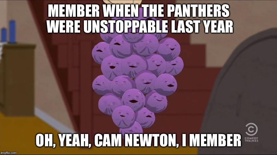 Member Berries Meme | MEMBER WHEN THE PANTHERS WERE UNSTOPPABLE LAST YEAR; OH, YEAH, CAM NEWTON, I MEMBER | image tagged in memes,member berries | made w/ Imgflip meme maker
