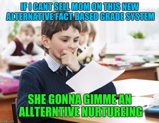 IF I CANT SELL MOM ON THIS NEW ALTERNATIVE FACT BASED GRADE SYSTEM SHE GONNA GIMME AN ALLTERNTIVE NURTUREING | made w/ Imgflip meme maker