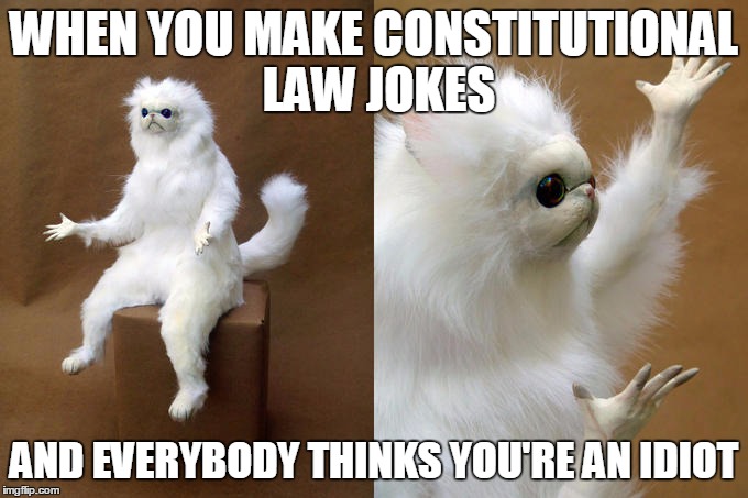 Persian Cat Room Guardian Meme | WHEN YOU MAKE CONSTITUTIONAL LAW JOKES; AND EVERYBODY THINKS YOU'RE AN IDIOT | image tagged in memes,persian cat room guardian | made w/ Imgflip meme maker