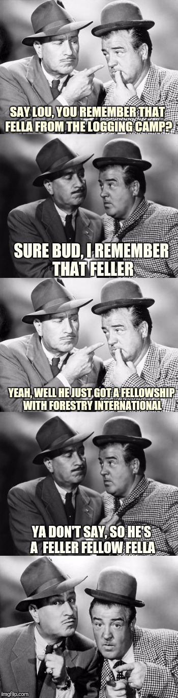 Badum tsst! | SAY LOU, YOU REMEMBER THAT FELLA FROM THE LOGGING CAMP? SURE BUD, I REMEMBER THAT FELLER; YEAH, WELL HE JUST GOT A FELLOWSHIP WITH FORESTRY INTERNATIONAL; YA DON'T SAY, SO HE'S A  FELLER FELLOW FELLA | image tagged in abbott and costello crackin' wize,sewmyeyesshut,funny memes | made w/ Imgflip meme maker