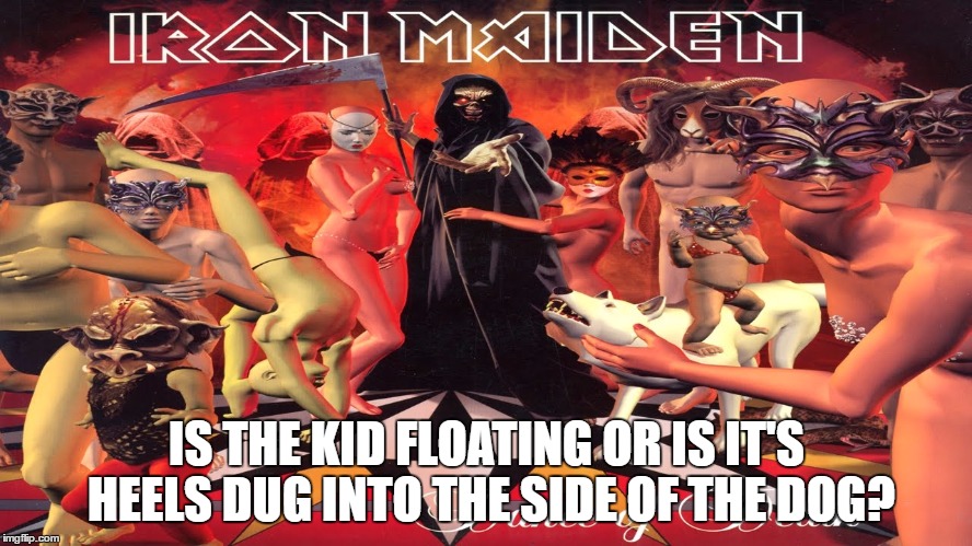 they can't all be zingers | IS THE KID FLOATING OR IS IT'S HEELS DUG INTO THE SIDE OF THE DOG? | image tagged in bad album art week | made w/ Imgflip meme maker