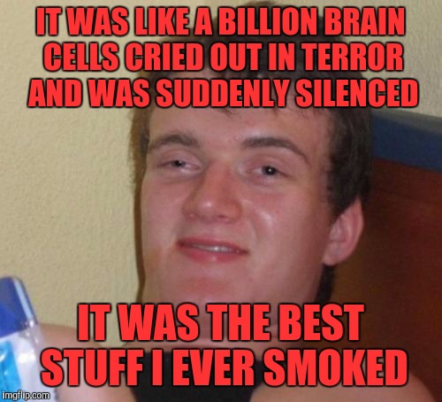 10 Guy Meme | IT WAS LIKE A BILLION BRAIN CELLS CRIED OUT IN TERROR AND WAS SUDDENLY SILENCED; IT WAS THE BEST STUFF I EVER SMOKED | image tagged in memes,10 guy | made w/ Imgflip meme maker