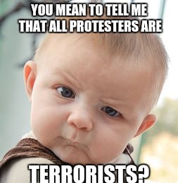 Skeptical Baby | YOU MEAN TO TELL ME THAT ALL PROTESTERS ARE; TERRORISTS? | image tagged in memes,skeptical baby | made w/ Imgflip meme maker