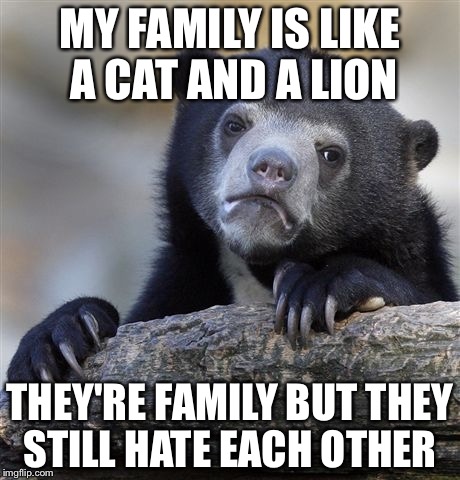 Confession Bear | MY FAMILY IS LIKE A CAT AND A LION; THEY'RE FAMILY BUT THEY STILL HATE EACH OTHER | image tagged in memes,confession bear | made w/ Imgflip meme maker