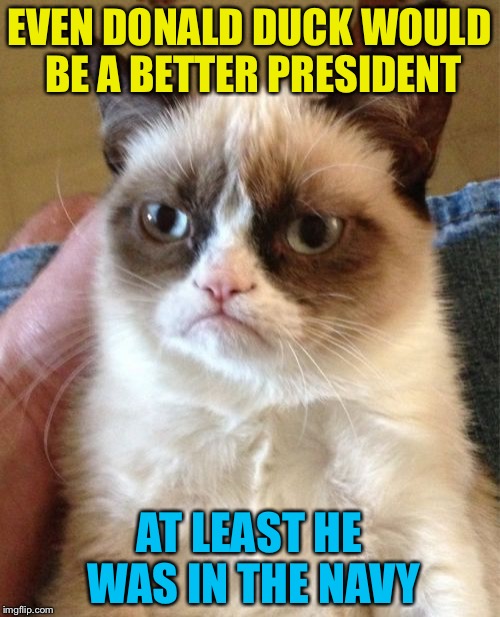 Grumpy Cat Meme | EVEN DONALD DUCK WOULD BE A BETTER PRESIDENT; AT LEAST HE WAS IN THE NAVY | image tagged in memes,grumpy cat | made w/ Imgflip meme maker