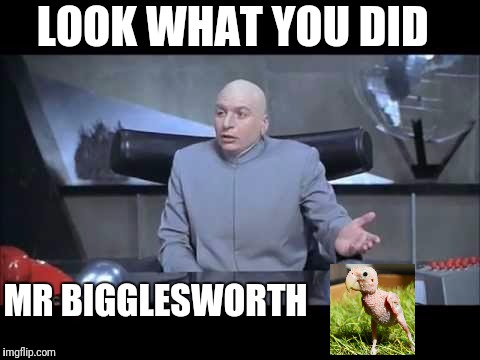 dr evil throw me a bone | LOOK WHAT YOU DID; MR BIGGLESWORTH | image tagged in dr evil throw me a bone | made w/ Imgflip meme maker