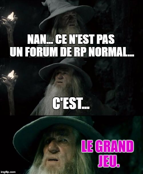 Confused Gandalf Meme | NAN... CE N'EST PAS UN FORUM DE RP NORMAL... C'EST... LE GRAND JEU. | image tagged in memes,confused gandalf | made w/ Imgflip meme maker