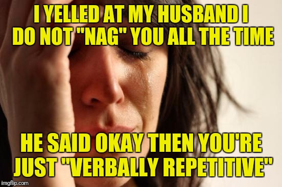 First World Problems Meme | I YELLED AT MY HUSBAND I DO NOT "NAG" YOU ALL THE TIME; HE SAID OKAY THEN YOU'RE JUST "VERBALLY REPETITIVE" | image tagged in memes,first world problems | made w/ Imgflip meme maker