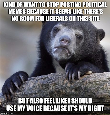 I feel like there's just another side to stuff that people should see, ya know? | KIND OF WANT TO STOP POSTING POLITICAL MEMES BECAUSE IT SEEMS LIKE THERE'S NO ROOM FOR LIBERALS ON THIS SITE; BUT ALSO FEEL LIKE I SHOULD USE MY VOICE BECAUSE IT'S MY RIGHT | image tagged in memes,confession bear | made w/ Imgflip meme maker