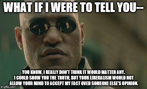 Matrix Morpheus Meme | WHAT IF I WERE TO TELL YOU--; YOU KNOW, I REALLY DON'T THINK IT WOULD MATTER ANY. I COULD SHOW YOU THE TRUTH, BUT YOUR LIBERALISM WOULD NOT ALLOW YOUR MIND TO ACCEPT MY FACT OVER SOMEONE ELSE'S OPINION. | image tagged in memes,matrix morpheus | made w/ Imgflip meme maker