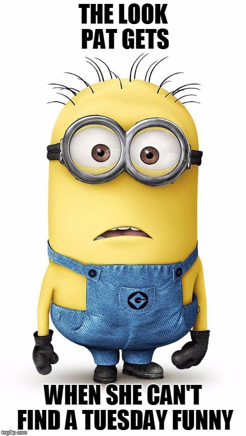 surprised minion | THE LOOK PAT GETS; WHEN SHE CAN'T FIND A TUESDAY FUNNY | image tagged in surprised minion | made w/ Imgflip meme maker