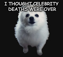 Gabe the dog | I THOUGHT CELEBRITY DEATHS WERE OVER | image tagged in gabe the dog,2017,memes,rip,rest in peace,dogs | made w/ Imgflip meme maker