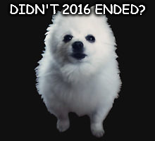 Gabe the dog | DIDN'T 2016 ENDED? | image tagged in gabe the dog,2017,memes,dogs,rest in peace,rip | made w/ Imgflip meme maker