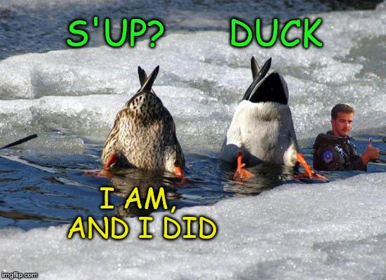 Duck, duck, goose | S'UP?      DUCK; I AM, AND I DID | image tagged in funny memes,ducks | made w/ Imgflip meme maker